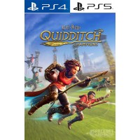 Harry Potter: Quidditch Champions PS4/PS5